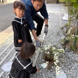 記念樹コデマリの植樹の様子