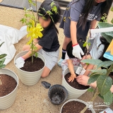記念樹植樹の様子