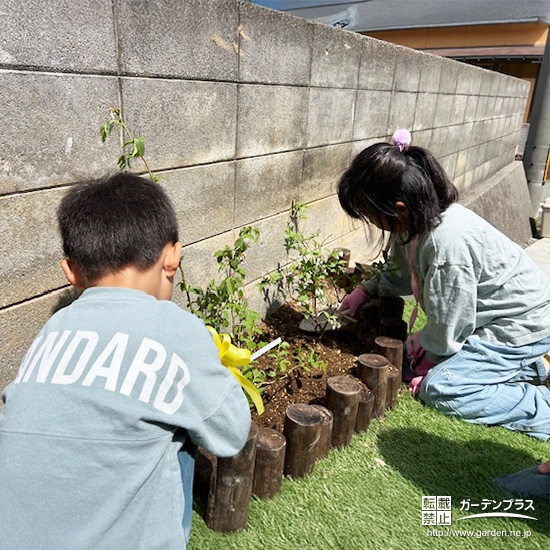 記念樹ブルーベリーの植樹の様子