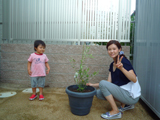 兵庫県三田市オリーブの植樹風景