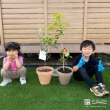 キンモクセイ・オリーブと記念撮影