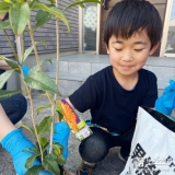 記念樹キンモクセイの植樹の様子