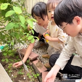 記念樹を植樹する様子