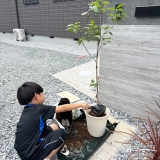 記念樹ライラックの植樹の様子