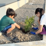 記念樹バイカウツギの植樹の様子