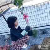 記念樹温州ミカンの植樹の様子