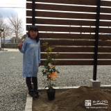 佐賀県杵島郡四季咲きモクセイとオリーブの植樹風景