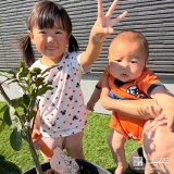 温州ミカンの植樹の様子①