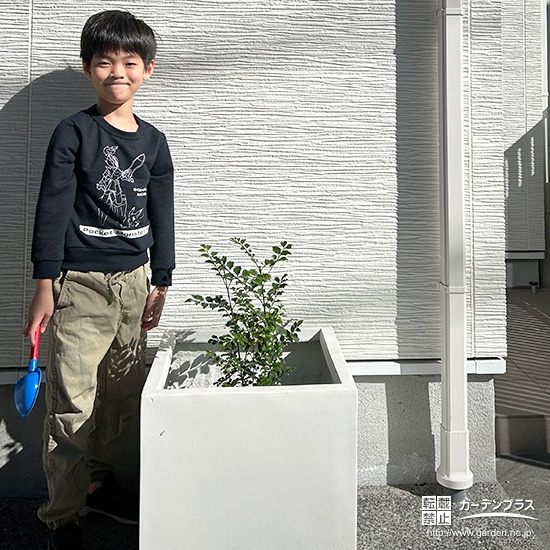 シマトネリコと記念撮影①