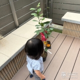 温州ミカンと記念撮影