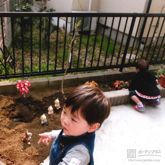 東京都西東京市ジューンベリーとライラックの植樹風景