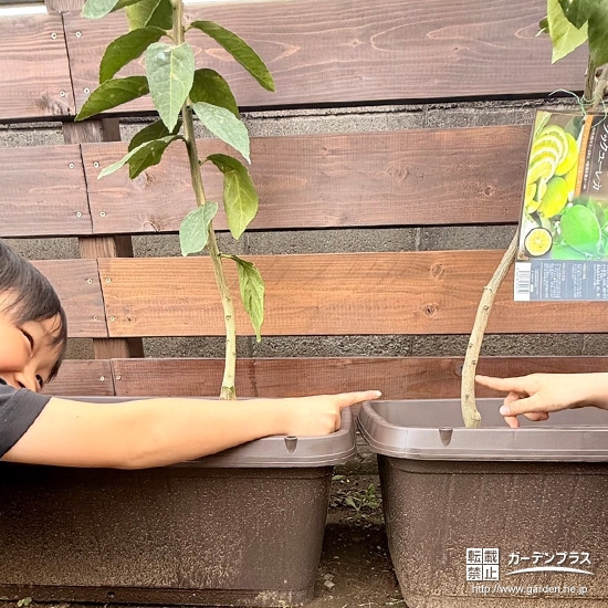 レモンと記念撮影