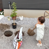 記念樹レモンの植樹の様子