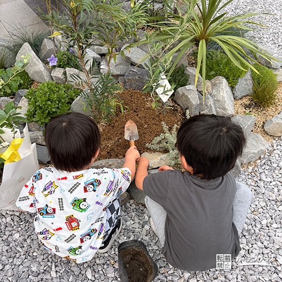 記念樹オリーブ・ブルーベリーの植樹の様子