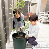 記念樹の植樹の様子①