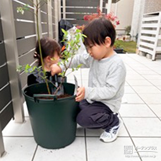 記念樹の植樹の様子②