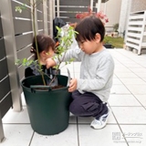 記念樹の植樹の様子②