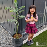 ヒメシャリンバイと記念撮影