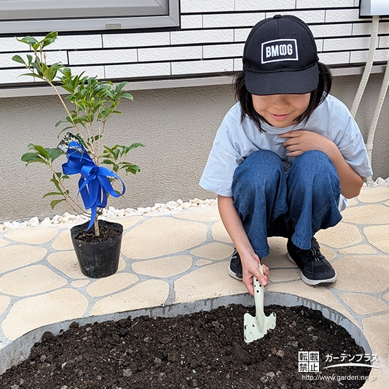 記念樹四季咲きモクセイの植樹の様子