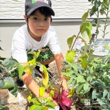 記念樹植樹の様子①