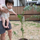 ミモザと記念撮影②