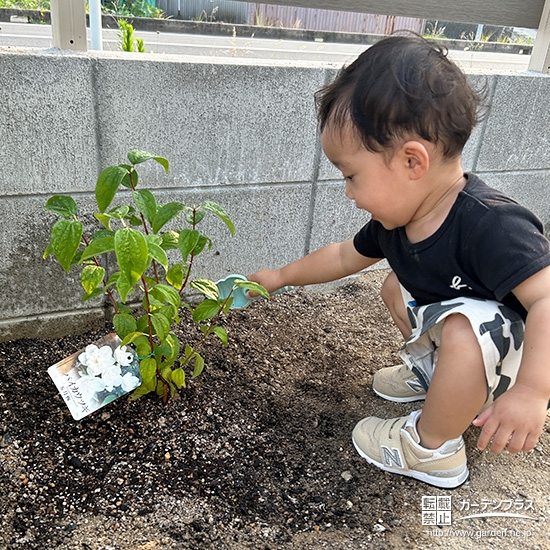 バイカウツギと記念撮影②