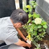 記念樹オリーブの植樹の様子