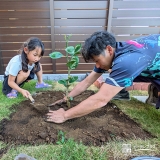 記念樹温州ミカンの植樹の様子