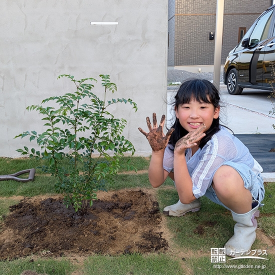 シマトネリコと記念撮影①