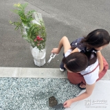 記念樹シマトネリコの植樹の様子④
