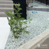 記念樹シマトネリコの植樹の様子⑤