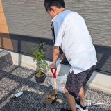 記念樹シマトネリコの植樹の様子