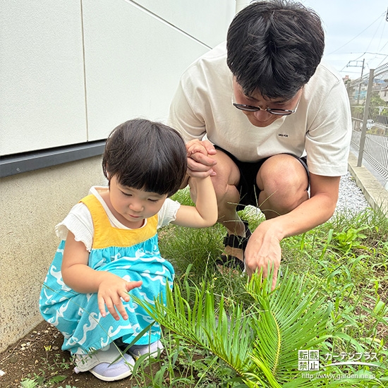 ソテツと記念撮影①