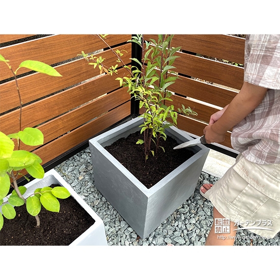 記念樹コデマリ・ジューンベリーの植樹の様子④