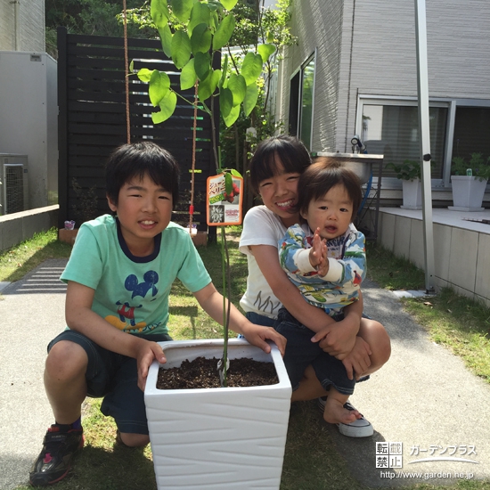 鹿児島県鹿児島市レモンとキンカンとジューンベリーの植樹風景