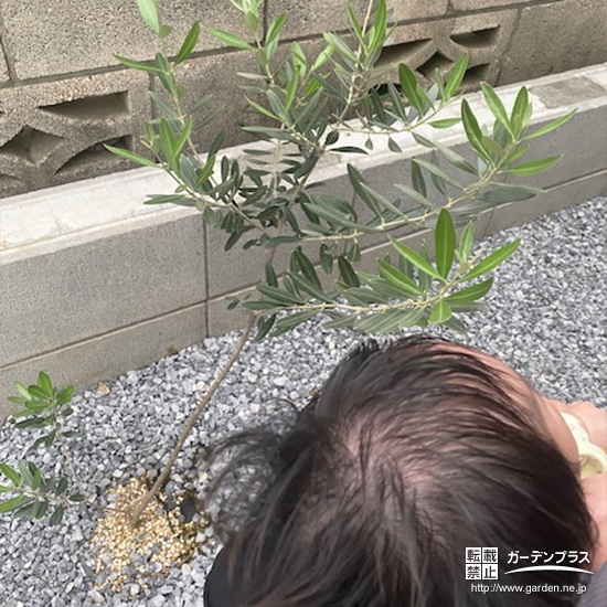 オリーブと記念撮影②