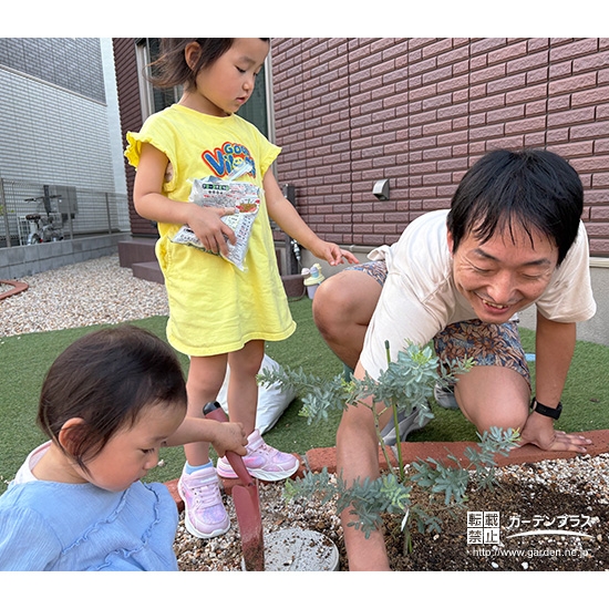 記念樹コデマリ・ミモザの植樹の様子②