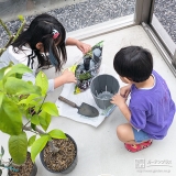 記念樹レモン・オリーブの植樹の様子②