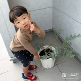 記念樹ミモザの植樹の様子①