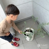 記念樹ミモザの植樹の様子②