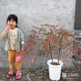 ナンテンと記念撮影①