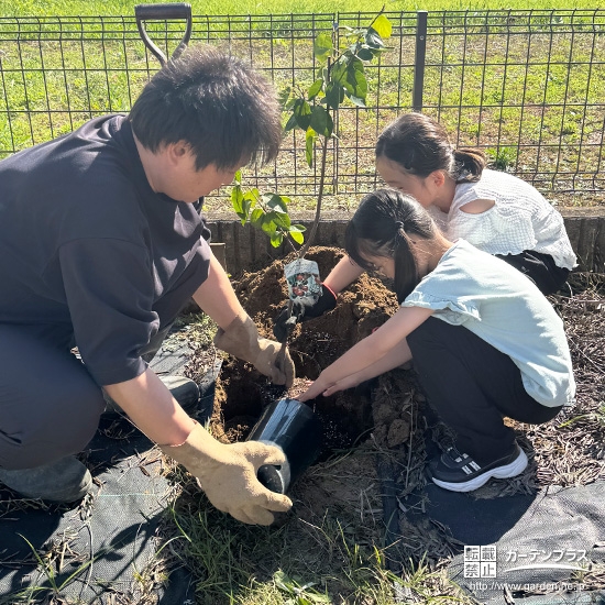 記念樹ジューンベリーの植樹の様子
