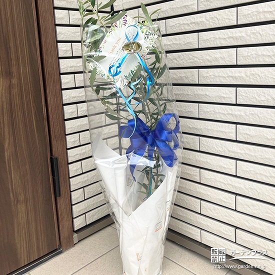 お届けしたオリーブ