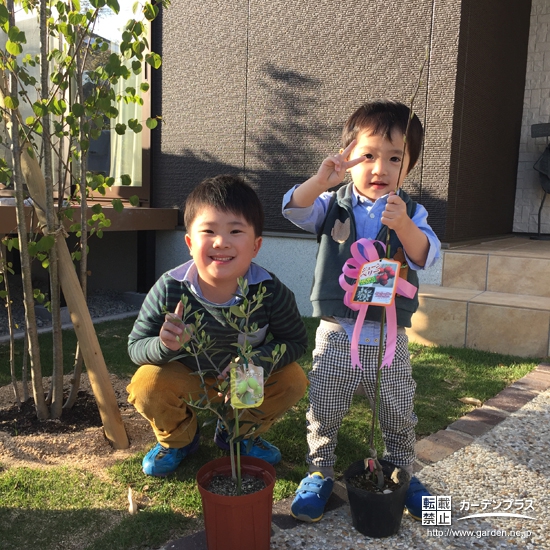 兵庫県神戸市垂水区ジューンベリーとオリーブの植樹風景