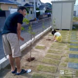 福岡県中間市カラタネオガタマとライラックの植樹風景