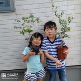 千葉県四街道市ジューンベリーとオリーブの植樹風景