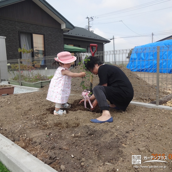 宮城県名取市ジューンベリーの植樹風景