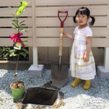 宮城県仙台市太白区レモンの植樹風景