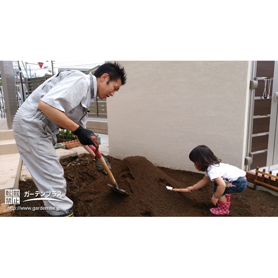 埼玉県八潮市西洋シャクナゲの植樹風景