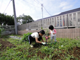 千葉県中津市キンカンとオリーブの植樹風景